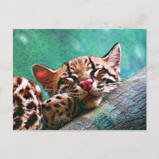 Carte Postale Chaton Mignon D Ocelot De Bebe De Sommeil Zazzle Fr