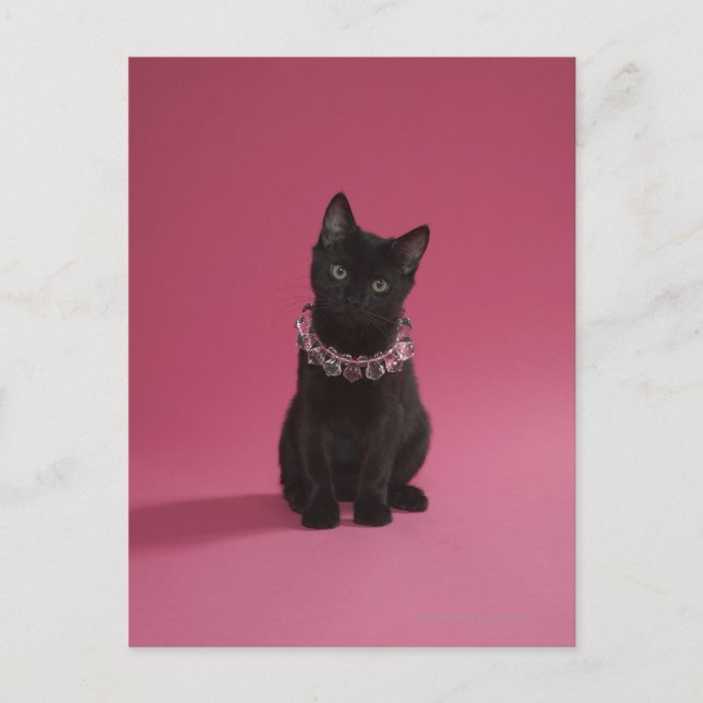 Carte Postale Chaton noir portant collier bijoux (Devant)