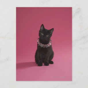 Carte Postale Chaton noir portant collier bijoux