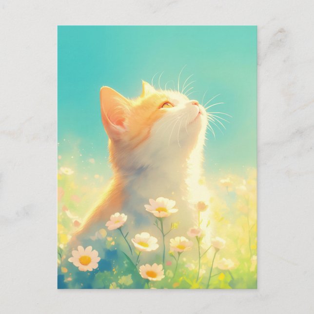 Carte Postale Chaton orange dans prairie de marguerites blanches (Devant)
