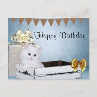 Carte Postale Chaton persan blanc Anniversaire