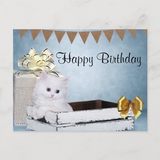 Carte Postale chaton persan blanc Anniversaire (Devant)