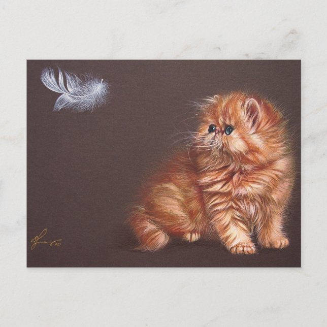 Carte Postale Chaton persan et plumes (Devant)