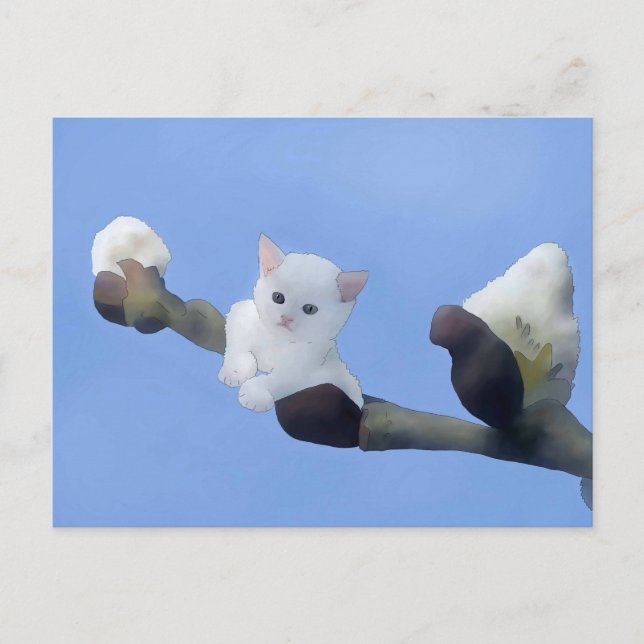 Carte Postale chaton printemps (Devant)