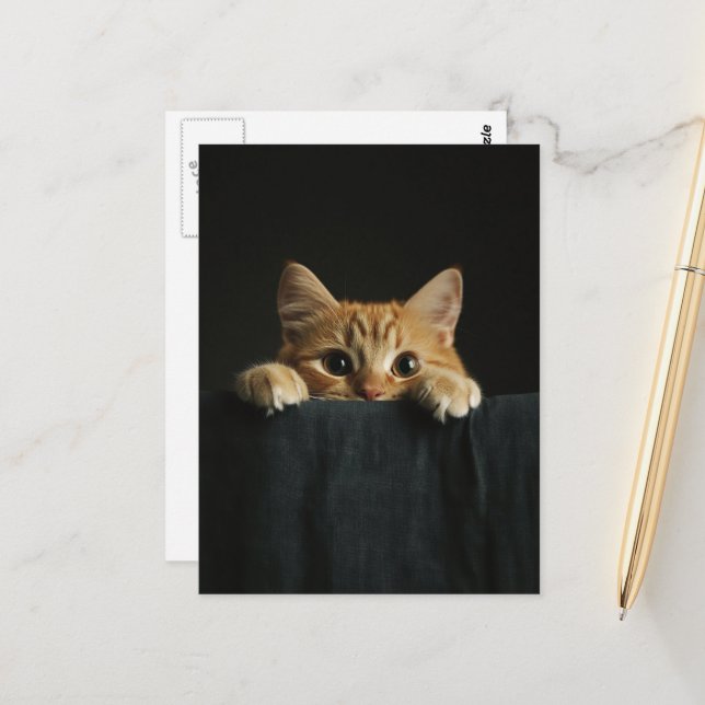 Carte Postale Chaton roux adorable qui regarde (Devant/Arrière en situation)