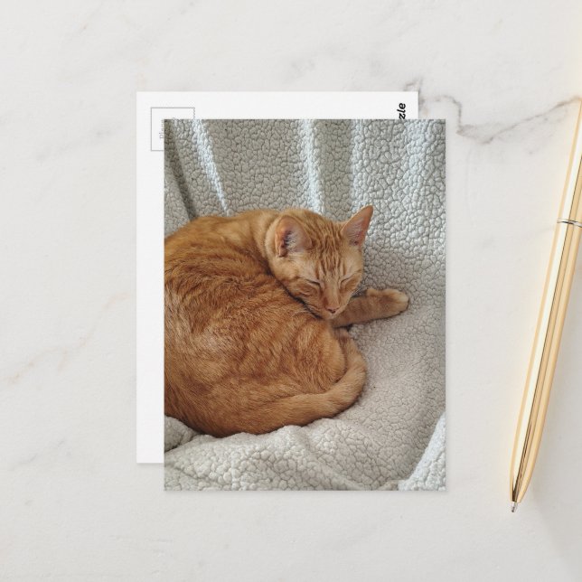 Carte Postale Chaton roux endormi (Devant/Arrière en situation)