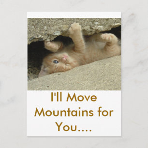 Carte Postale Chaton Super Héros