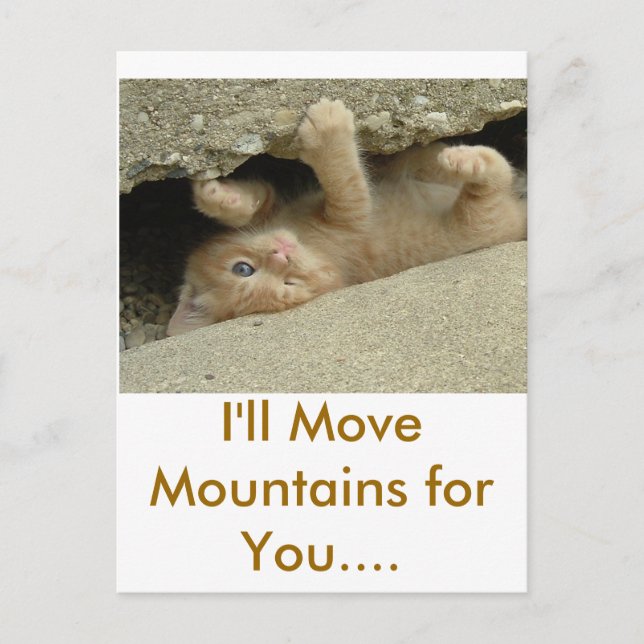 Carte Postale Chaton Super Héros (Devant)