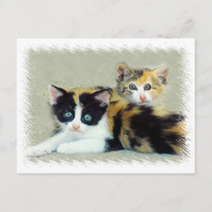Carte Postale Chatons à visage amusant