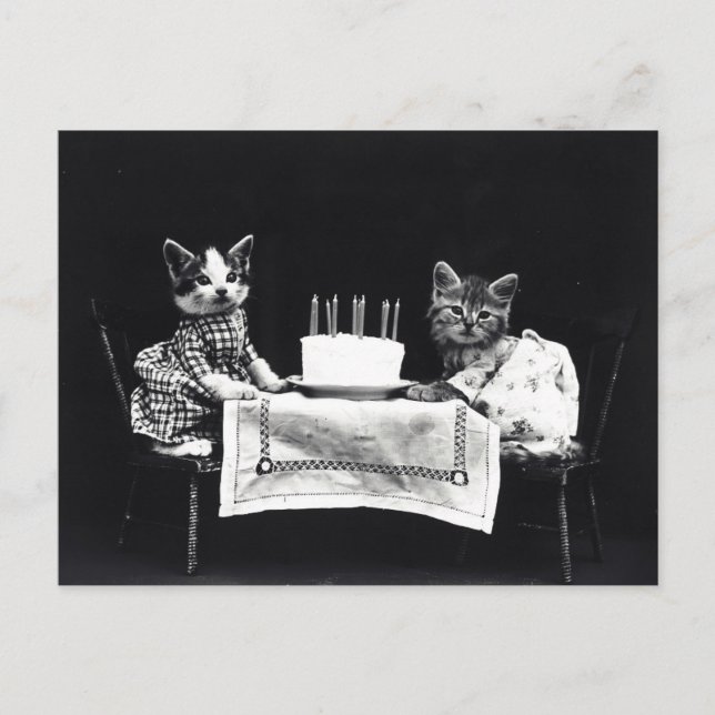Carte Postale Chatons d'anniversaire (Devant)