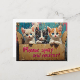 Carte Postale Chatons dans une boîte S'il vous plaît Spay et Neu