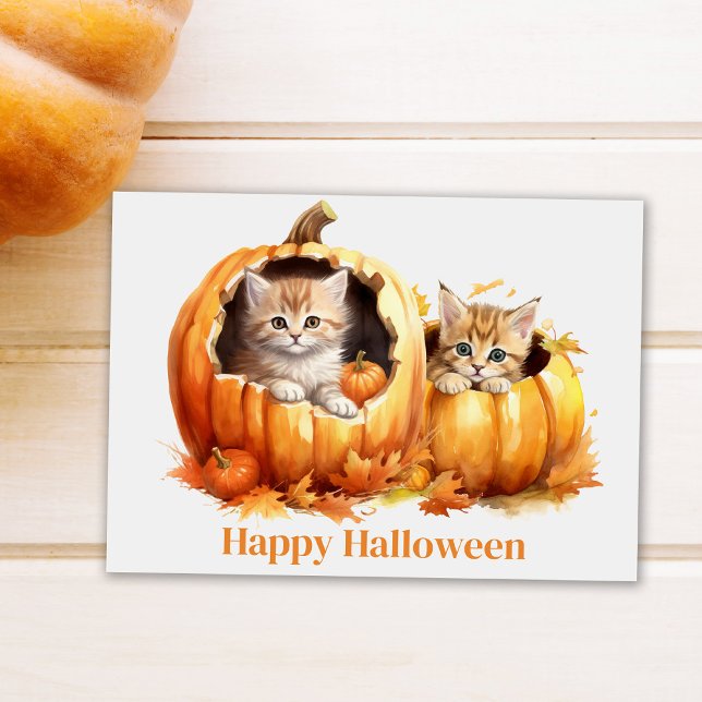Carte Postale Chatons en Halloween Citrouille (Cute Kitten in Pumpkin Halloween Postcard on white table next to a pumpkin)