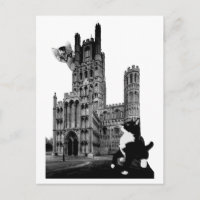 Chatons jouant sur la cathédrale d'Ely