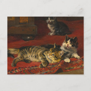 Carte Postale Chatons   Julius Adam le Jeune