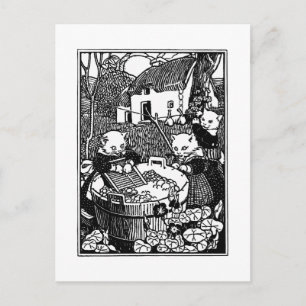 Carte Postale Chatons Laver Mittens Chatons