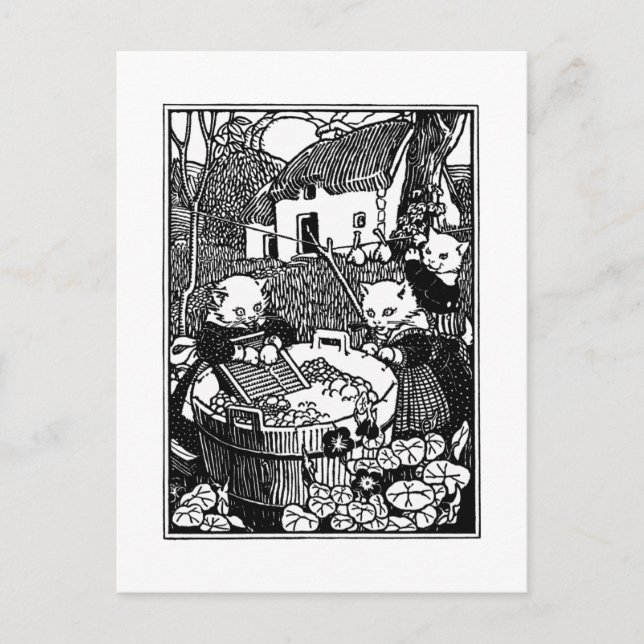 Carte Postale Chatons Laver Mittens Chatons (Devant)