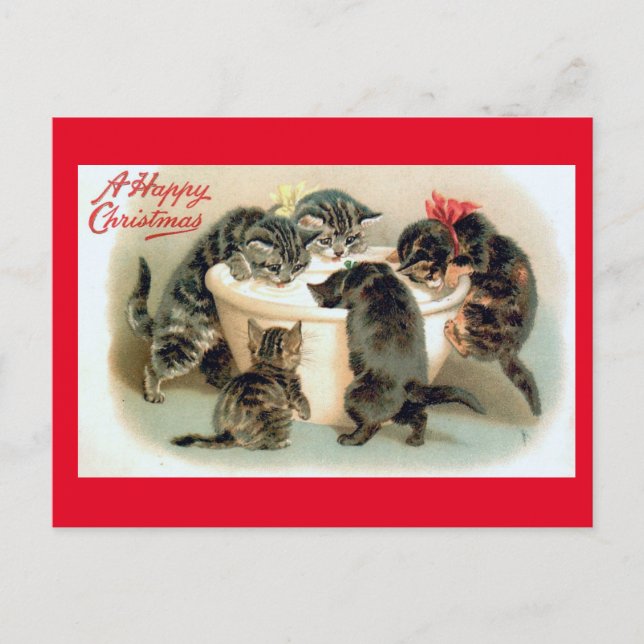 Carte Postale Chatons, un joyeux Noël, (Devant)