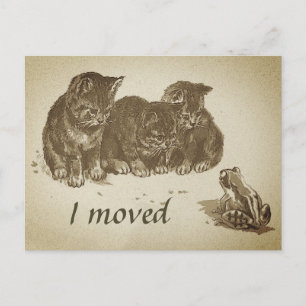 Carte Postale Chatons vintages et grenouille I Déménagé Changeme