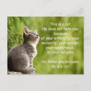 Carte Postale Chats