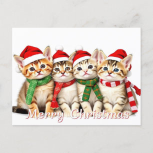 Carte Postale Chats adorables de Noël Amateur de chats