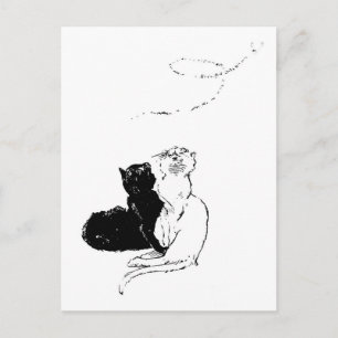 Carte Postale Chats, Alexandre Steinlen