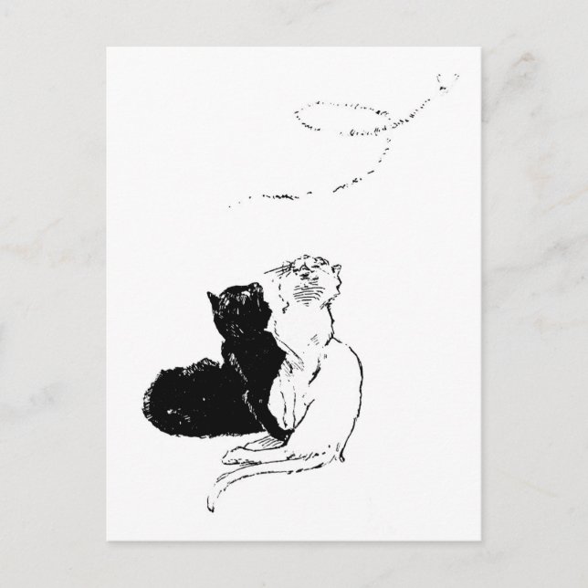Carte Postale Chats, Alexandre Steinlen (Devant)