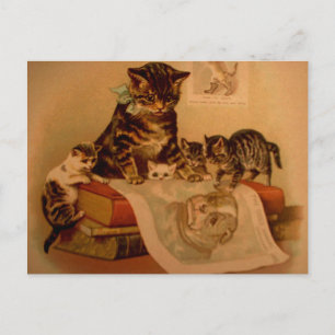 Carte Postale Chats Antiques & École de Chats Livres