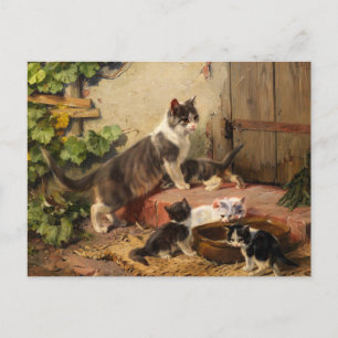 Carte Postale Chats au bol de lait Julius Adam le Jeune