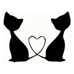 Cartes De Vœux Chat Noir Et Blanc Zazzle Fr