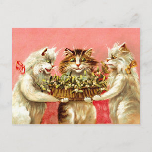 Carte Postale Chats avec Mistletoe