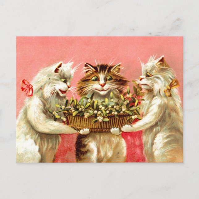 Carte Postale Chats avec Mistletoe (Devant)