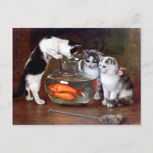Carte Postale Chats Chatons Pêche dans un bol de poisson peintur (Devant)