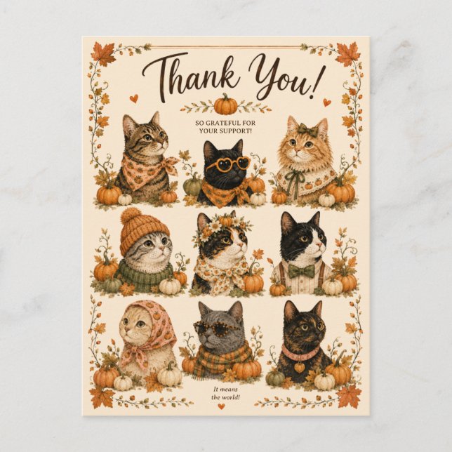 Carte Postale Chats Citrouilles Confort animal (Devant)