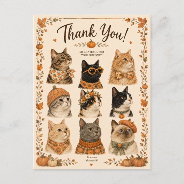 Carte Postale Chats Citrouilles Confort animal (Devant)