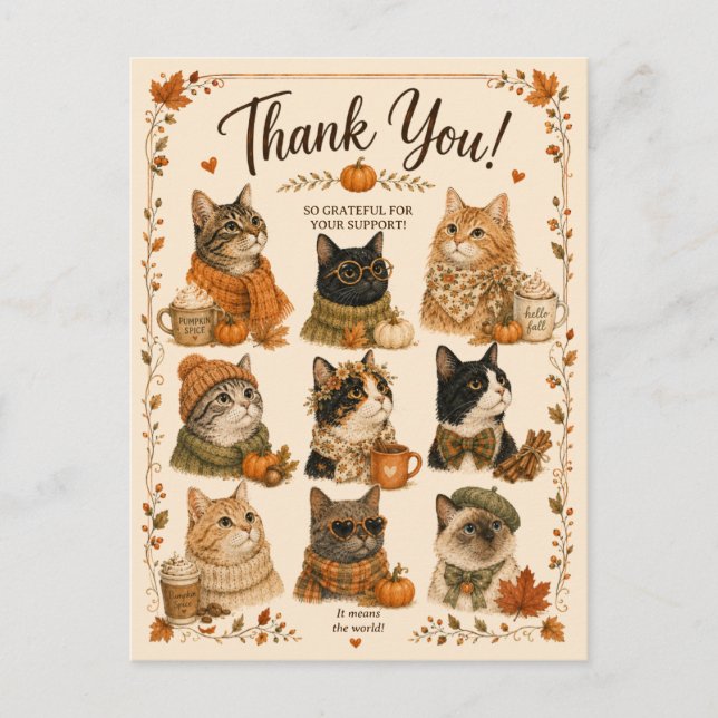 Carte Postale Chats Citrouilles Confort animal (Devant)