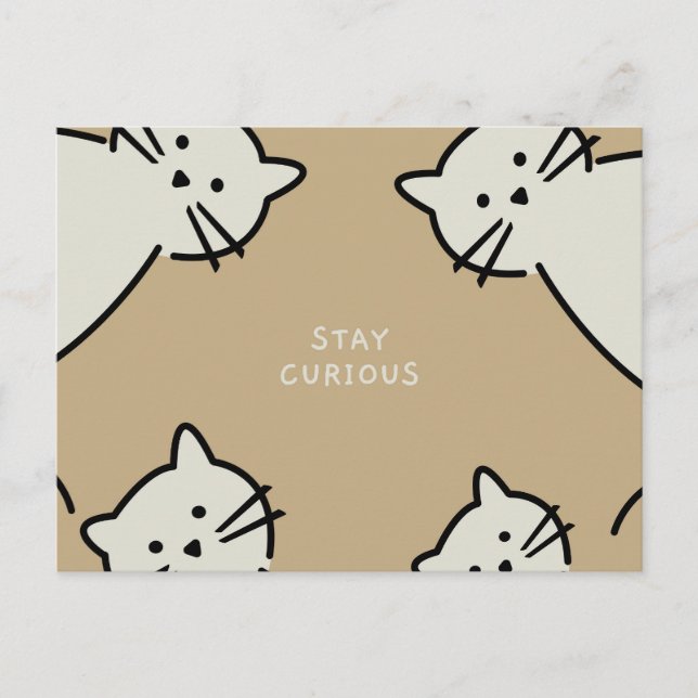 Carte Postale Chats curieux (Devant)