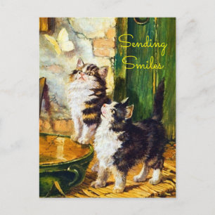 Carte Postale Chats Curieux Vintage Papillon Envoi de Sourires
