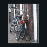 Carte Postale Chats d'Amsterdam à vélo<br><div class="desc">Bonjour ! J'espère que vous aimez cette photo que j'ai prise ! N'hésitez pas à ajouter votre propre texte et à consulter mes boutiques pour plus de détails !</div>