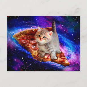 Carte Postale Chats dans la pizza spatiale