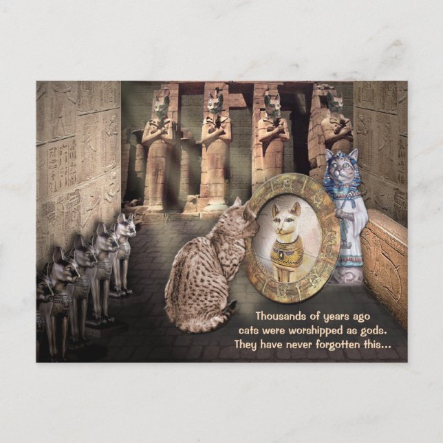 Carte Postale Chats dans la vieille Egypte (Devant)