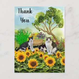 Carte Postale Chats dans le jardin / Tournesol Collage de remerc
