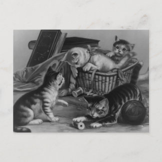 Carte Postale Chats dans le panier à coudre