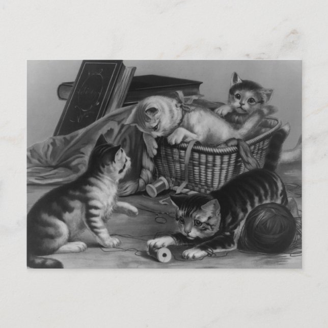 Carte Postale Chats dans le panier à coudre (Devant)