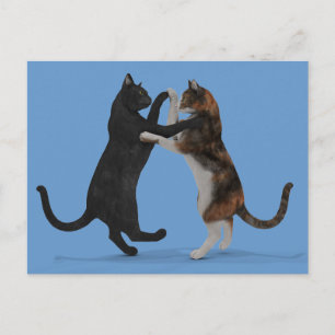Carte Postale Chats dansants