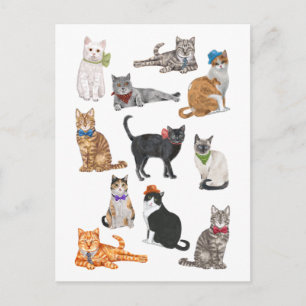 Carte Postale Chats Dapper