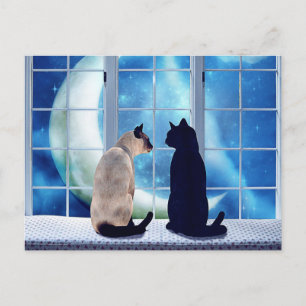 Carte Postale Chats de fenêtre