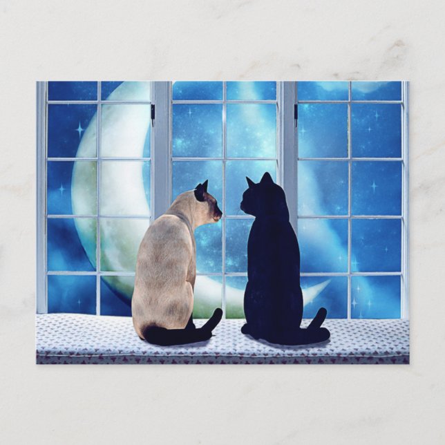 Carte Postale Chats de fenêtre (Devant)