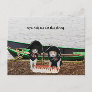 Carte Postale Chats de pirates amusants