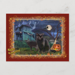 Carte Postale Chats d'Halloween