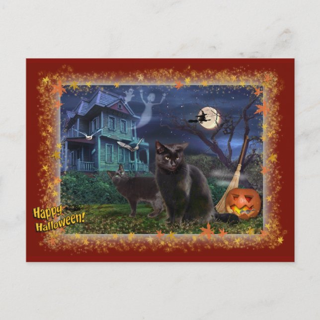 Carte Postale Chats d'Halloween (Devant)